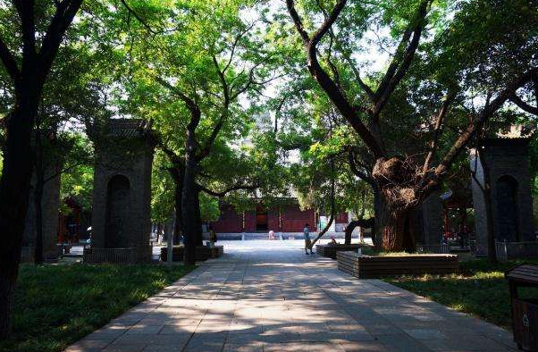 2019“乐雅池”杯淮海经济区体育舞蹈全国邀请赛通知┃五大亮点(图55)