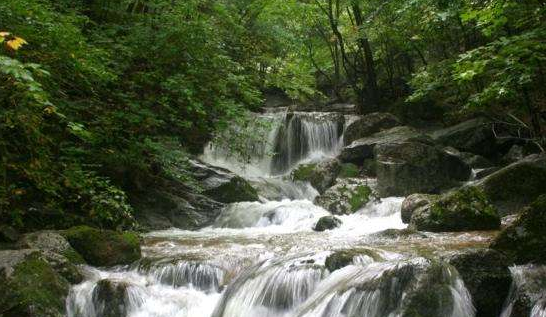 2019“乐雅池”杯淮海经济区体育舞蹈全国邀请赛通知┃五大亮点(图58)