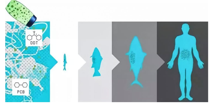 世界大战 之 垃圾分类 Coming(图10) 世界大战 之 垃圾分类 Coming(图10)