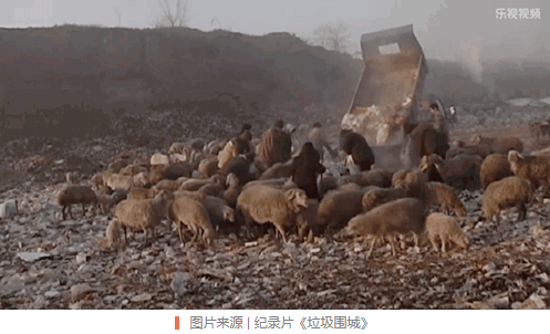 世界大战 之 垃圾分类 Coming(图8) 世界大战 之 垃圾分类 Coming(图8)