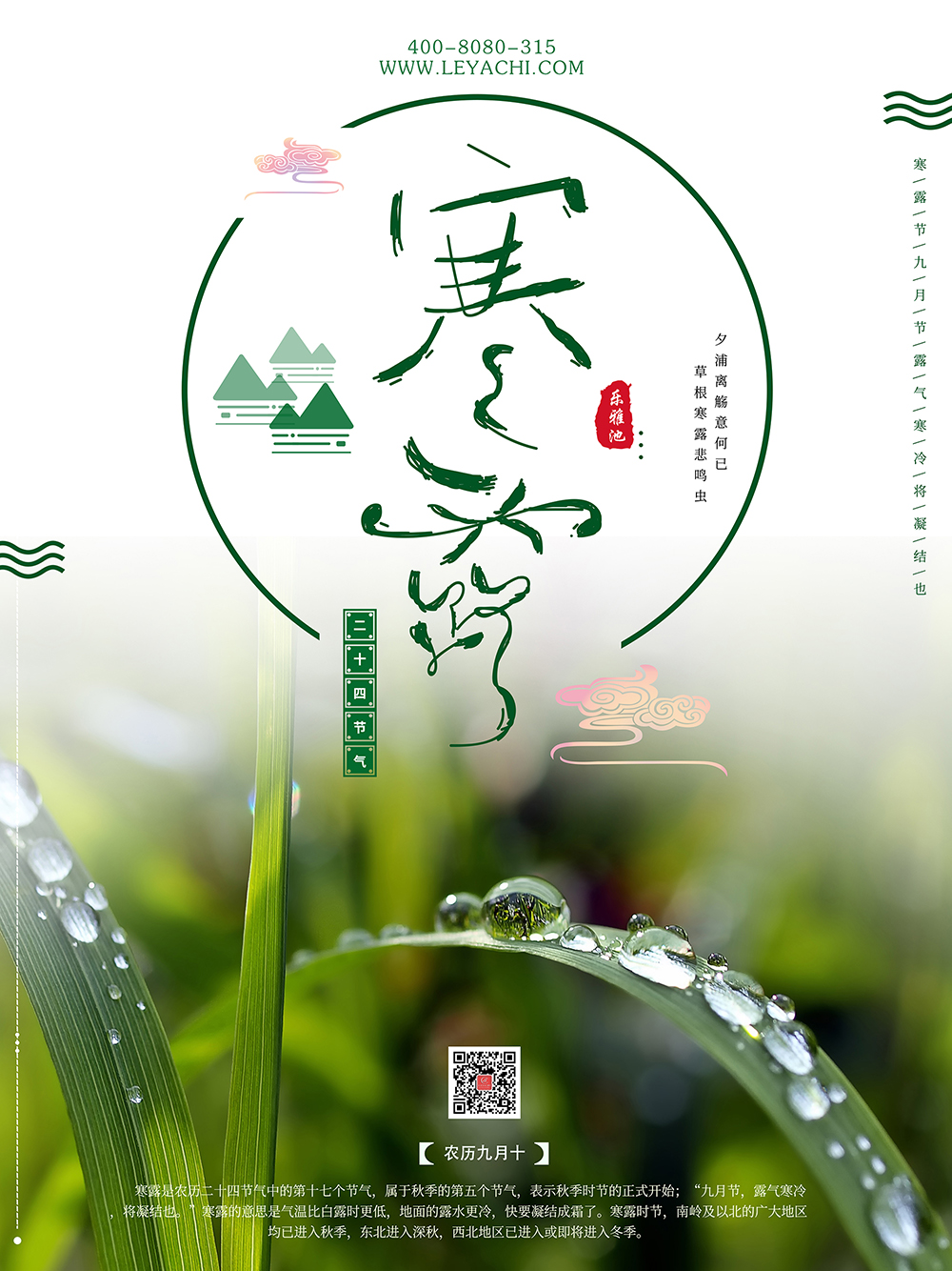 寒露(图1) 寒露(图1)